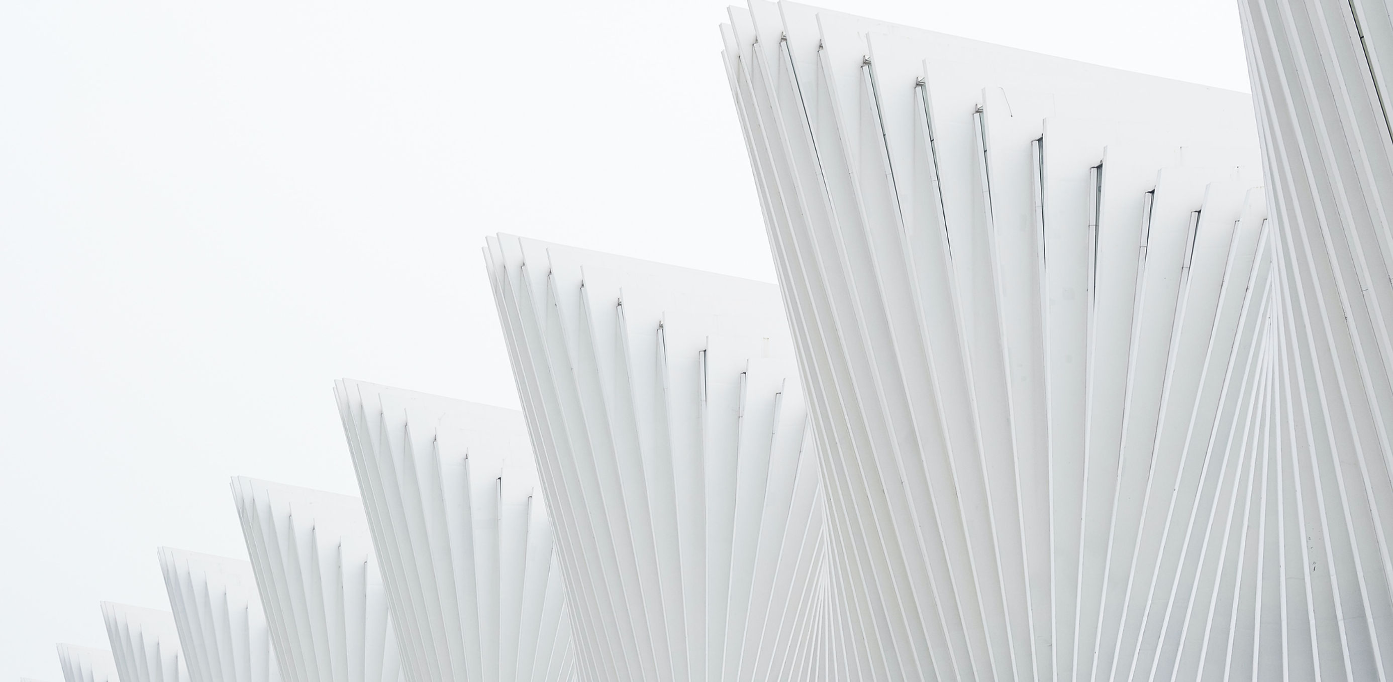 White Structure
